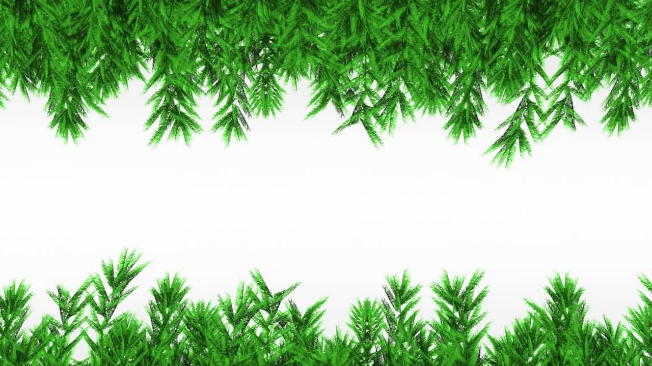 Animation of fir trees branches over white background