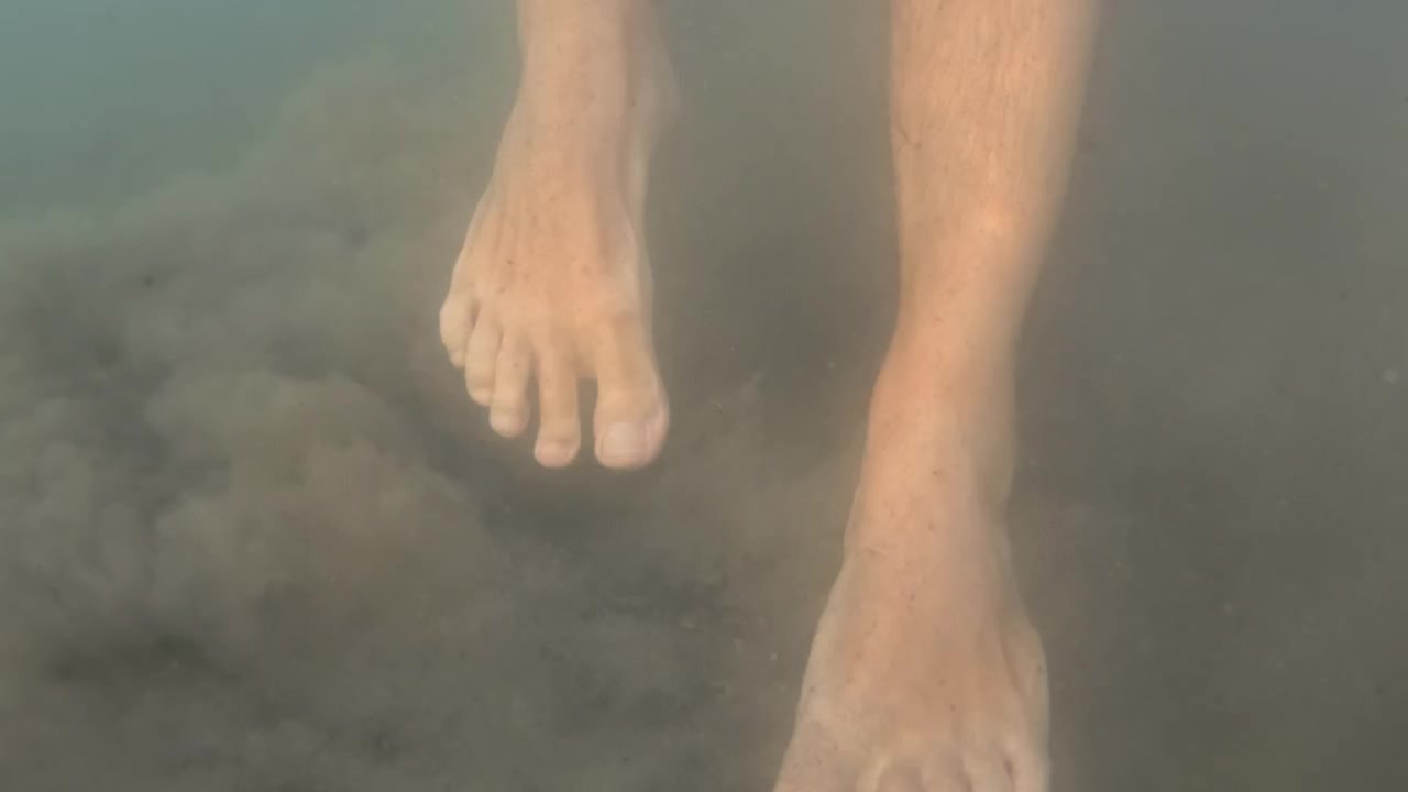 Piede di una persona che crea una nuvola di limo e sedimento mentre esplora il fondo di un fiume o lago torbido sott'acqua.