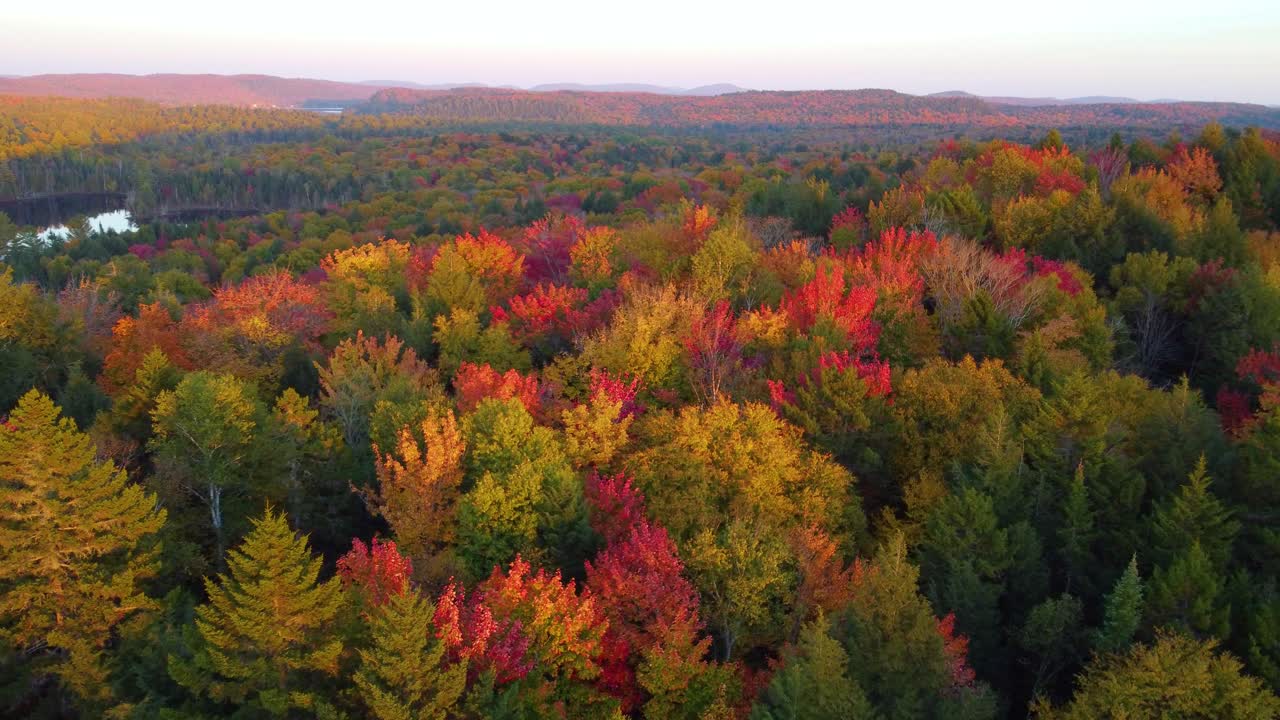 hermosa vista panorámica sobre los coloridos bosques de otoño de montreal, quebec