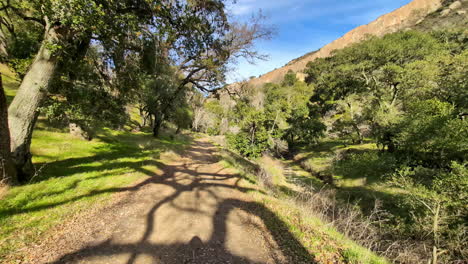 Toma-En-Primera-Persona-Caminando-Por-Un-Sendero-Natural-En-Las-Tierras-Altas-De-California,-En-El-Soleado-EE.UU.