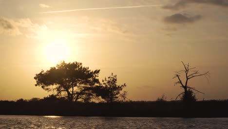 puesta de sol sobre un río con árboles