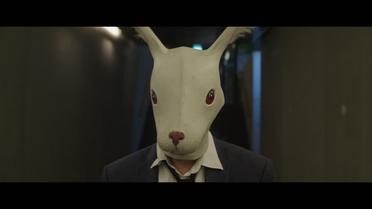 Man walking down a corridor with a rabbit head