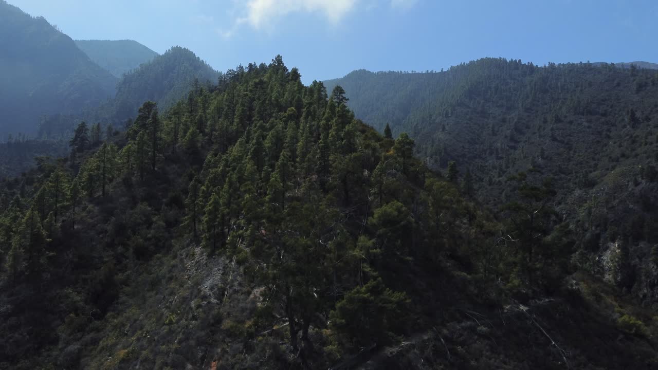 Green Spring Nature Flourishing Towards Mountain Top In Güímar, Tenerife, Spain - aerial drone shot