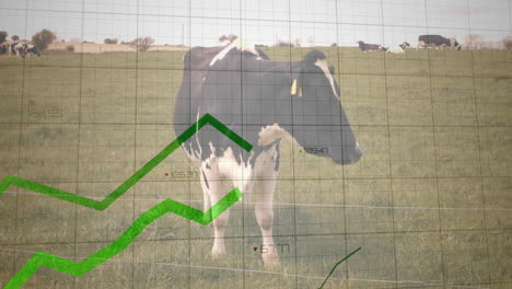 holstein cow standing in grassy pasture, displaying translucent grid overlay with data graphs