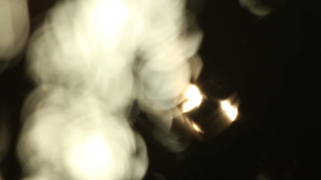 칸쿤 팜스 비디오 17