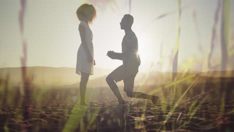 animation of happy african american couple at beach on sunny day over grass