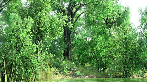 lush greenery surrounds a tranquil pond inviting peace and natures harmony