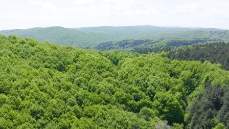 Approaching-drone-shot-of-the-oak-forest-at-Strandzha-Mountain,-a-site-known-for-the-tomb-of-the-Egyptian-warrior-goddess-Bastet-in-Bulgaria