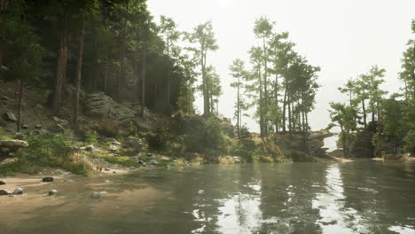 peaceful forest lake