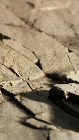 close-up of rough stone texture