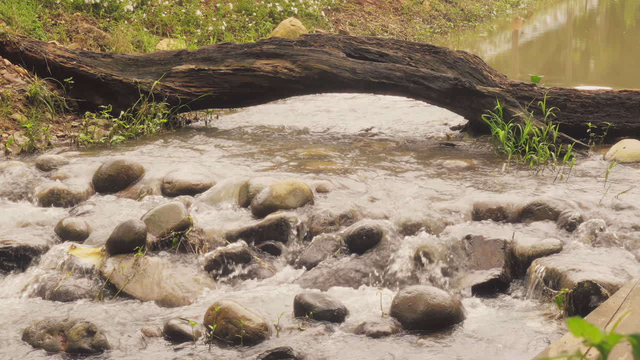 Crystal-clear river stream glides smoothly over mossy rocks, surrounded by lush greenery. Gentle water sounds and soft sunlight create a serene, tranquil scene