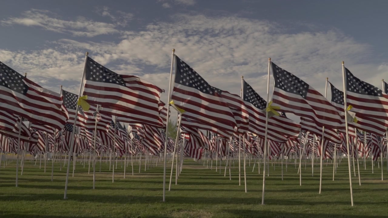 Plan large symétrique de rangées de drapeaux américains flottant au vent dans un parc commémoratif. Cette scène patriotique évoque la fierté nationale pour le Jour de l'Indépendance et les fêtes américaines, vue de face.
