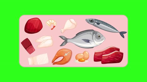 Various meat and fish items appear and arrange on pink rectangle with vibrant green background