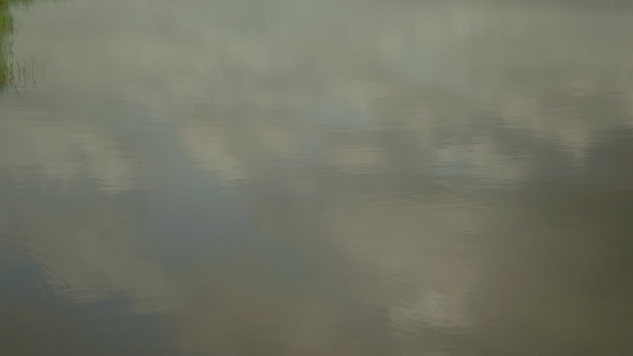 천천히 움직이는 조용한 물의 파동 장면, 반사 클로즈업