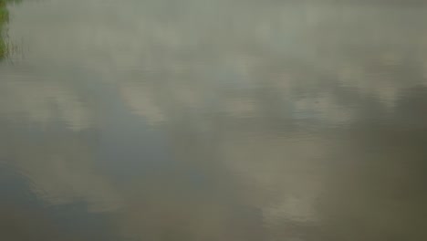 escena de ondas de agua serena en cámara lenta, primer plano de reflexión