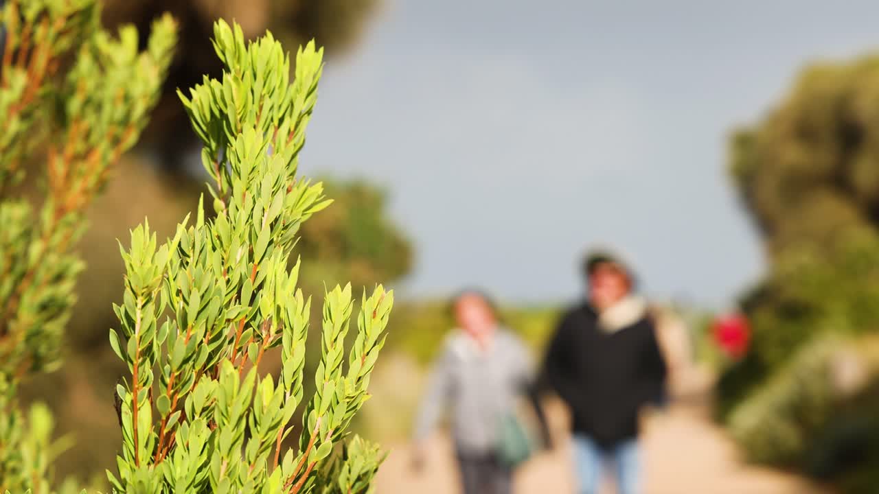 경치 좋은 길 을 고 있는 두 사람