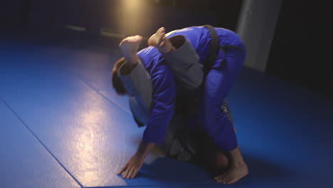 martial arts grappling training