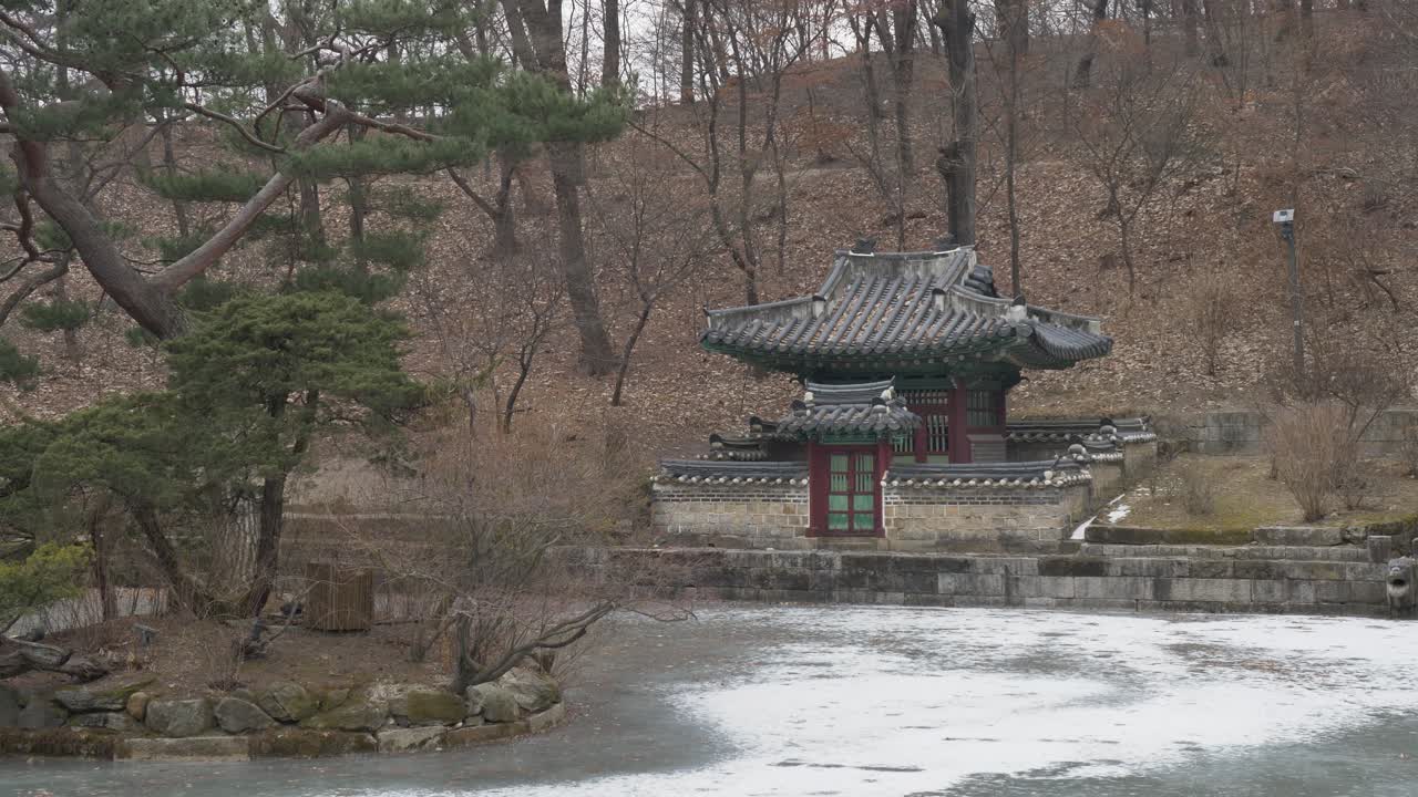 Paesaggio al rallentatore di un santuario storico con alberi della foresta su un'isola circondata da uno specchio d'acqua ghiacciato in inverno, presso il Giardino Segreto di Changdeokgung a Gyeongbokgung, città di Seoul, Corea, Asia. Turismo naturalistico.