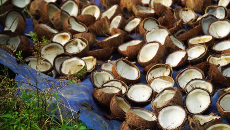 Kokosölproduktion-In-Thailand