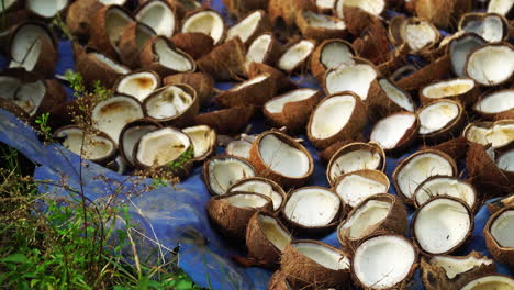 Producción-De-Aceite-De-Coco-En-Tailandia