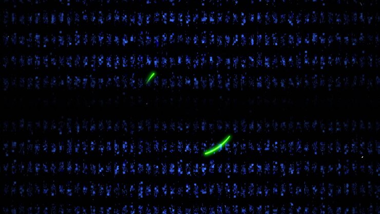 Grunge Texture Embellished with Neon Green Circular Graphics