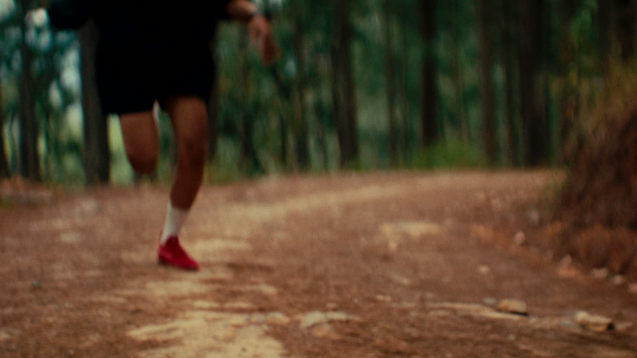 Runner in Forest Trail