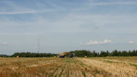 agriculture, tractor loads bale of hay into the trailer near farm ranch