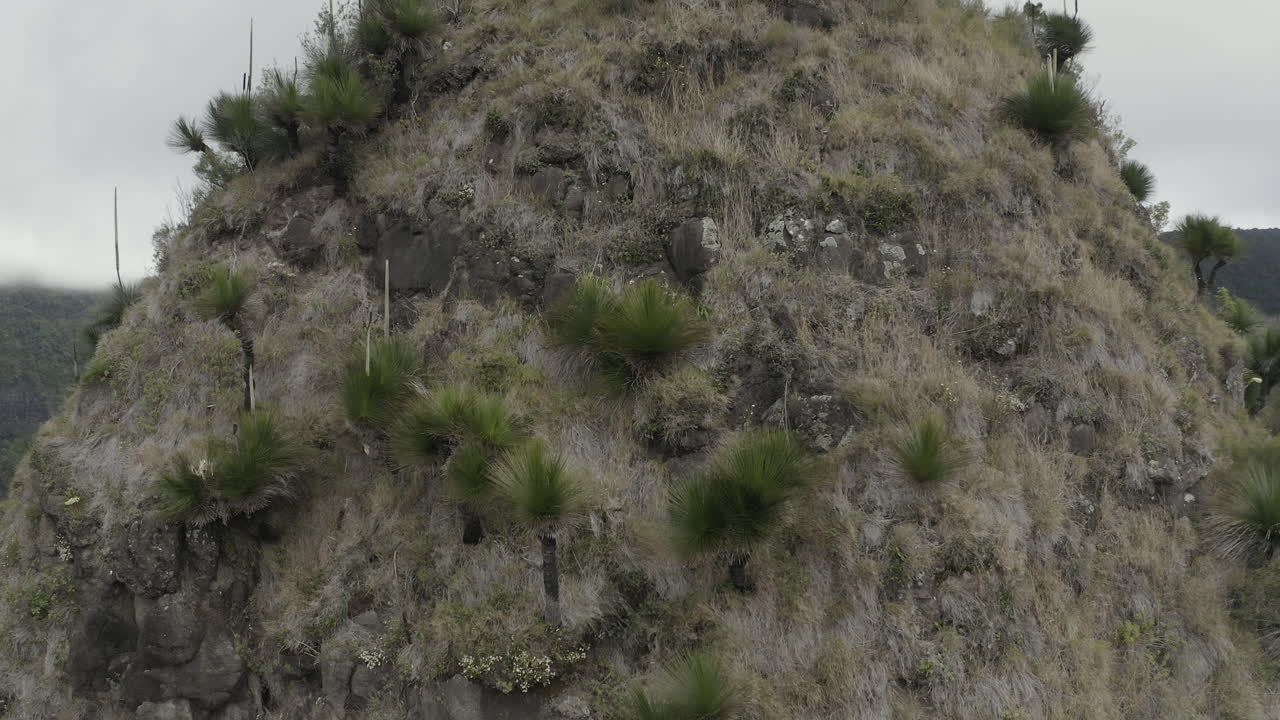 disparo de dron de 4k subiendo por un pico de montaña en el parque nacional border ranges, nueva gales del sur, australia