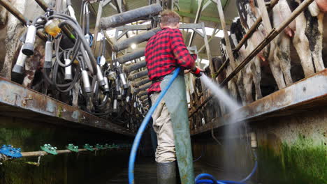 male worker with high pressure hose washing cattle area