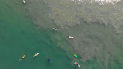 Vertikale-Luftaufnahmen,-Die-Anfänger-Und-Fortgeschrittene-Surfer-Auf-Ihren-Surfbrettern-Beim-Surfen-Am-Zusammenfluss-Von-Wasser-Zeigen