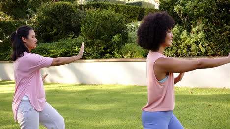 practicing tai chi in park, mother and adult daughter exercising together