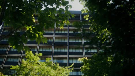 modern apartment building with lush trees