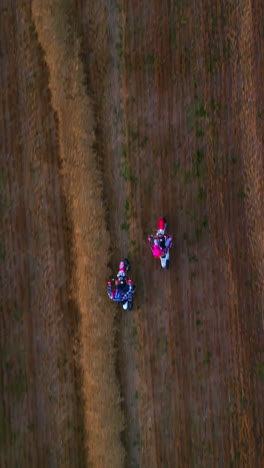 motorbikes racing in the vast agricultural field. young happy people ride motorcycles in agricultural plantation. view from top. vertical video