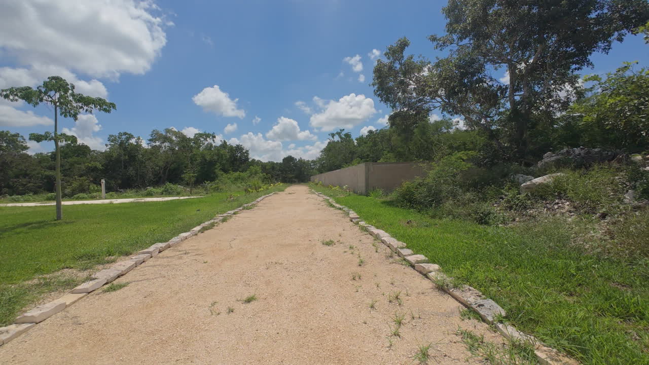 A path through a grassy area with trees under a blue sky with clouds