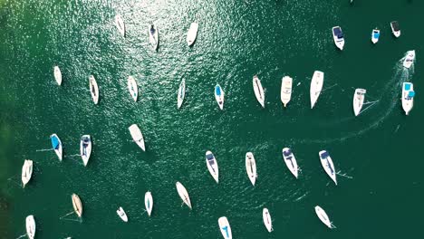 Drone-aerial-birds-eye-view-Mosman-Bay-yacht-boat-ferry-wharf-mast-ocean-clear-water-Cremorne-Point-North-Sydney-Neutral-Bay-sailing-tourism-travel-NSW-Australia-4K