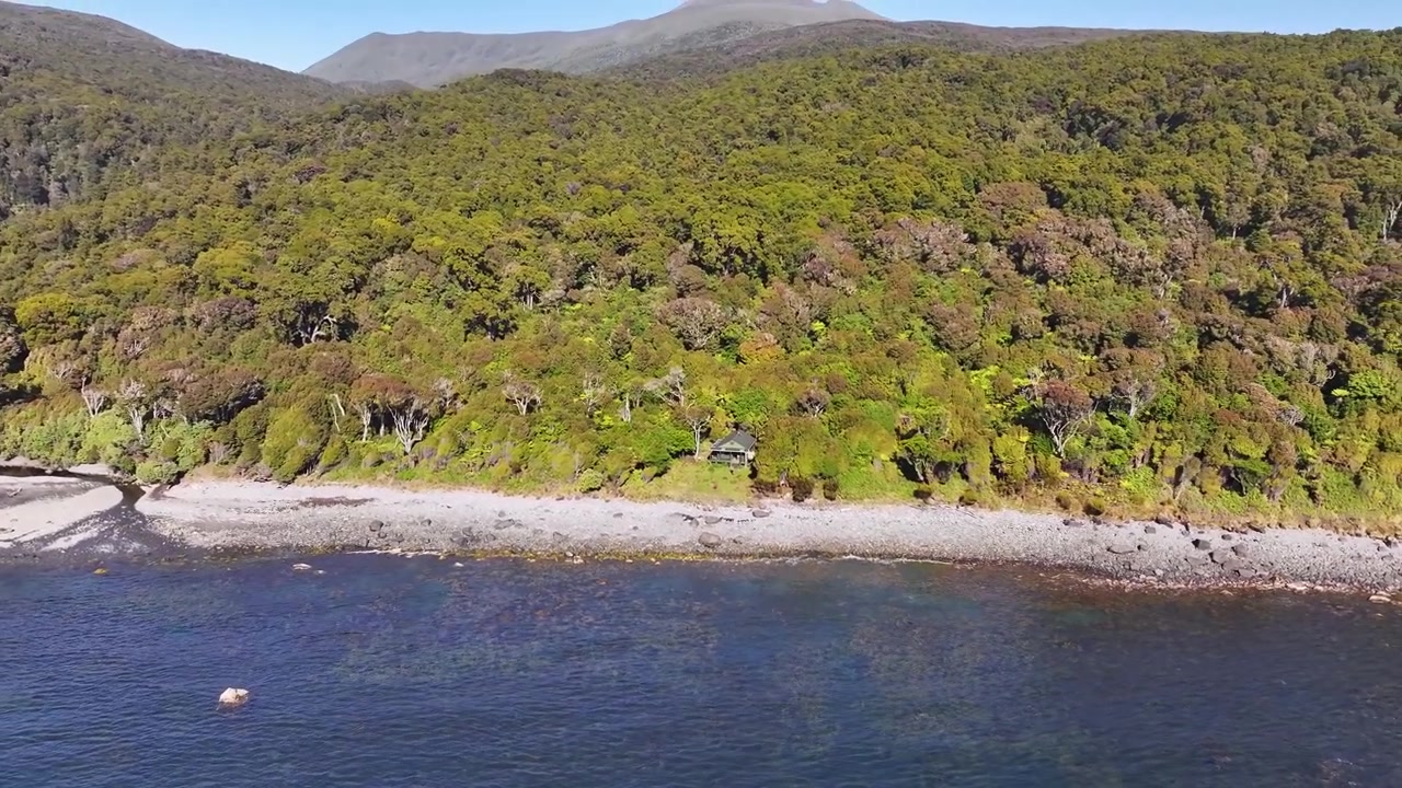 Smukt luftfoto af den uberørte kystlinje ved Rakiura Stewart Island i New Zealand. Solskinsdag.