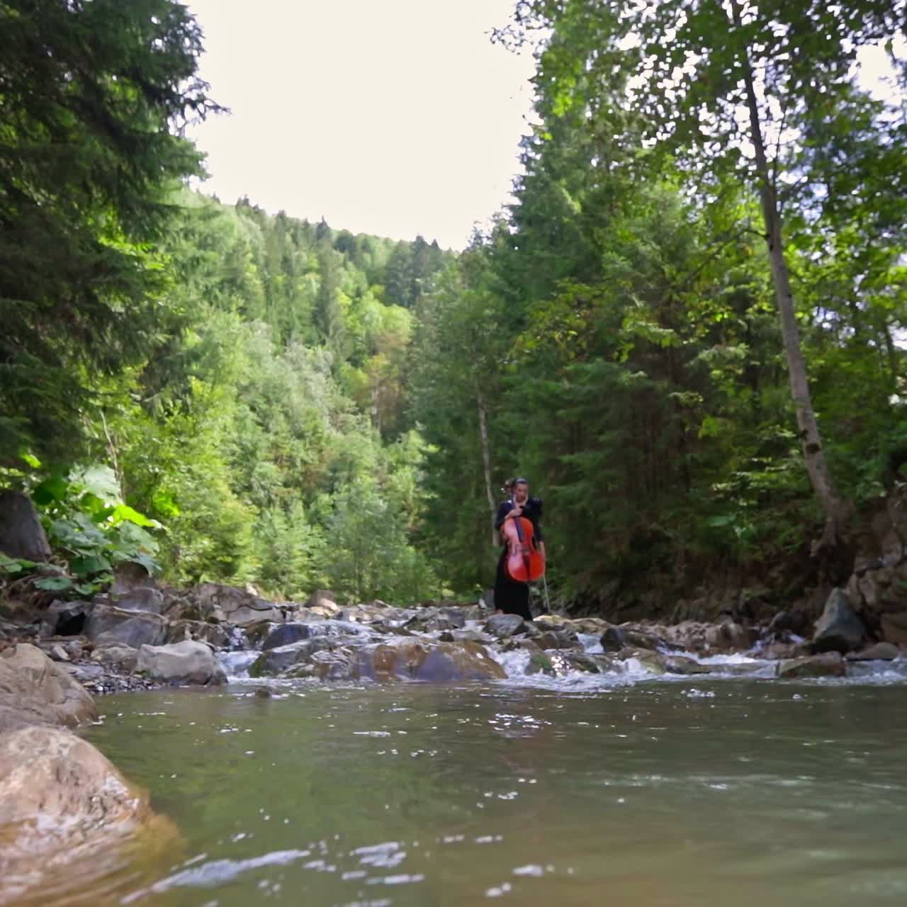 Female cellist in black dress playing with musical instrument. Pretty woman playing the cello outdoor