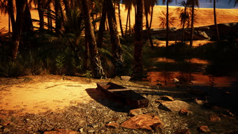 desert oasis with abandoned boat