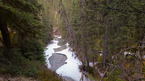 spring time in johnston canyon with snow in the valley