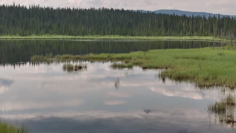 Ein-Unbenannter-Teich-Spiegelt-Die-Wolken-Und-Bäume-In-Seiner-Spiegelglatten-Oberfläche-Wider,-Während-Eine-Drohne-Tief-über-Das-Wasser-Fliegt