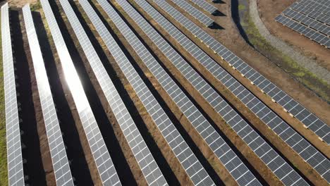 aerial view looking down over rows of sustainable solar panel array reflecting sunlight producing clean energy