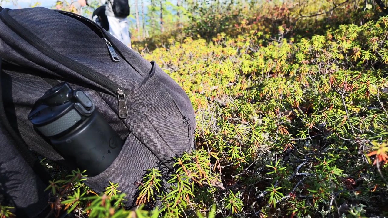 A gray backpack with a black water bottle rests on the ground among low green and orange-brown shrubs while two hikers walk away into the distance.