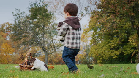 an asian toddler carries a small puppy to a basket. children play with pets