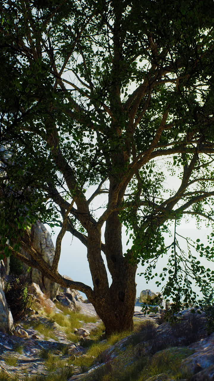 평온한 해안 나무 풍경