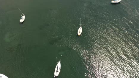 Boats-in-Lake-Erie-Aerial