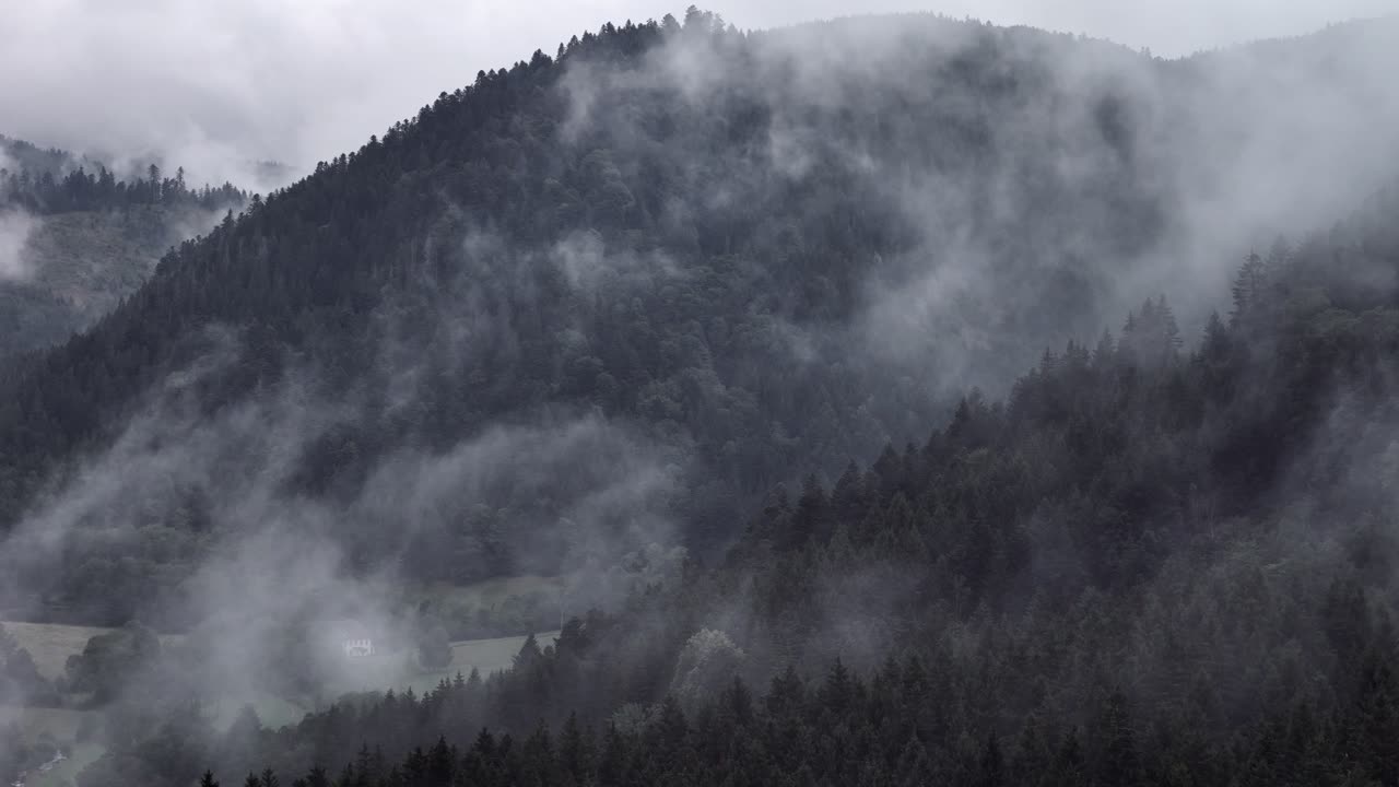 vista aérea de un bosque de montaña súper temperamental de abetos y abetos 4k