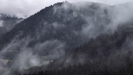 Aerial-view-of-a-super-moody-mountain-forest-of-fir-and-spruce-trees-4K