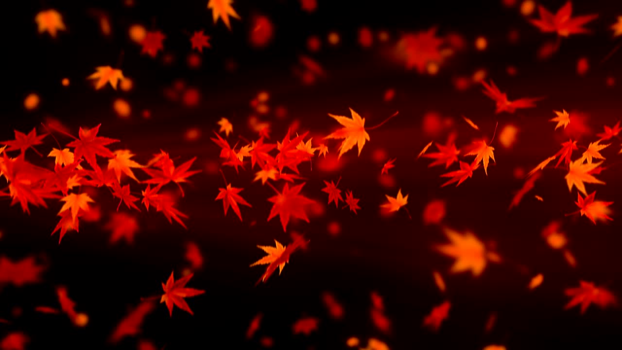 가을 잎의 스핀, 메이플, cg 애니메이션, 루프