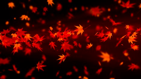 el giro de las hojas de otoño, el arce, la animación en cg, el bucle
