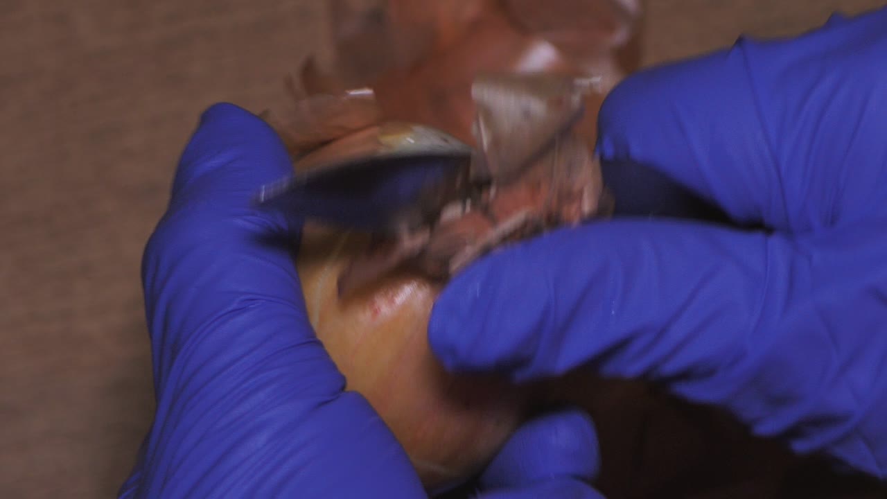 pelar la cabeza de la cebolla con las manos y un cuchillo